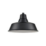 Millennium Lighting RCLWS17-SB R Series 17˝  Classic Warehouse One Light Shade Satin Black finish