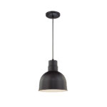 Millennium Lighting RDBC10-SB R Series 10˝ Deep Bowl Cord Hung Shade Satin Black finish